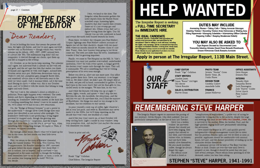 Matter-IrregularReport-Final-Individual2