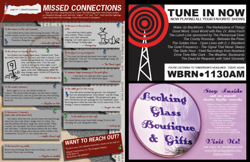 Matter-IrregularReport-Final-Individual8